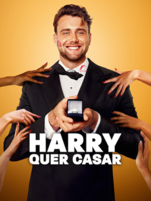 Harry Quer Casar : Poster