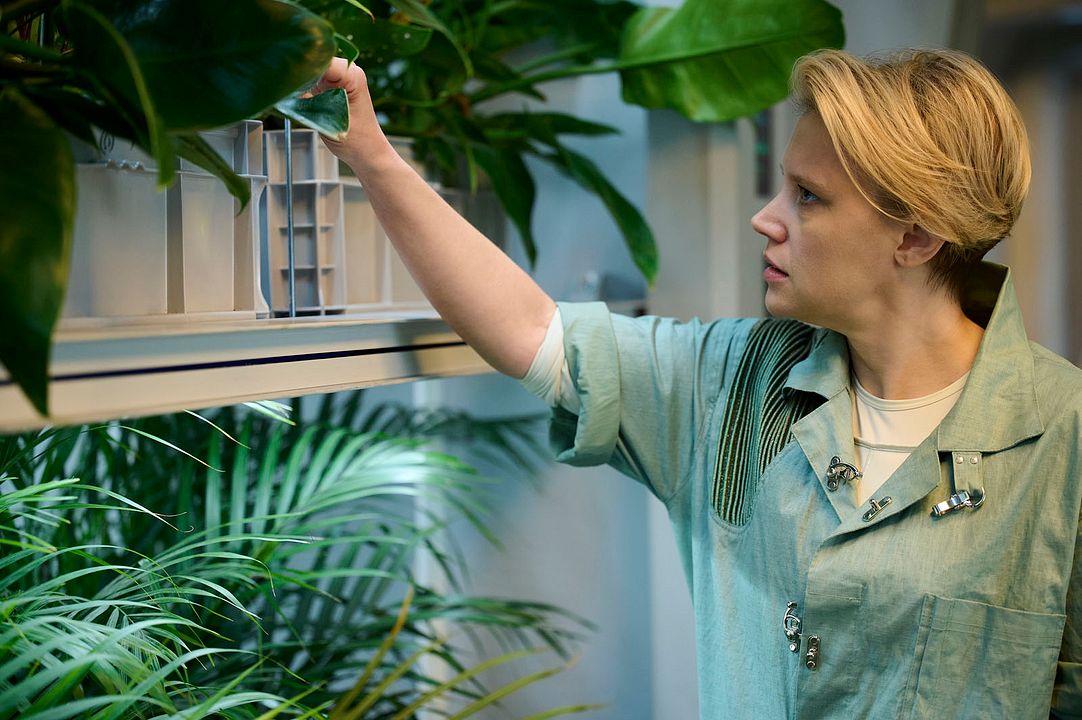 Em Um Piscar de Olhos : Fotos Kate McKinnon