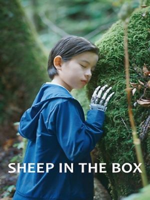 Sheep in the Box : Poster