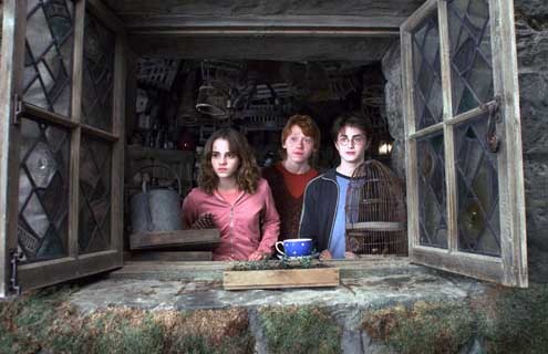 Harry Potter e o Prisioneiro de Azkaban : Fotos Alfonso Cuarón, Daniel Radcliffe, Emma Watson, Rupert Grint