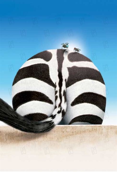 Deu Zebra! : Fotos Frederik Du Chau