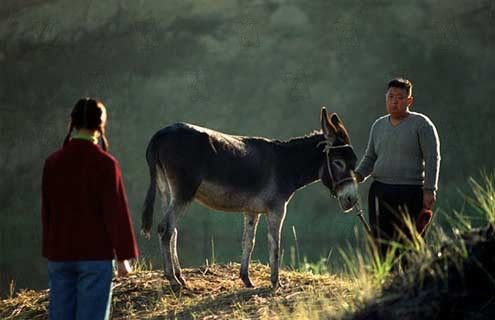 Fotos Wang Chao