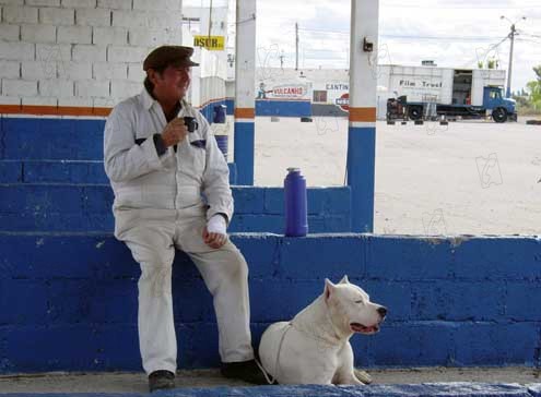 O Cachorro : Fotos Carlos Sorín, Juan Villegas