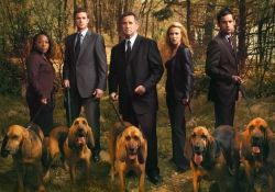 Without a Trace : Poster