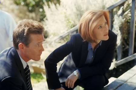 Fotos Gillian Anderson, Robert Patrick