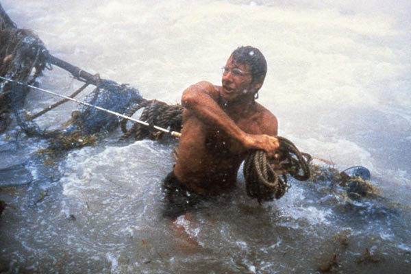 A Costa do Mosquito : Fotos Harrison Ford