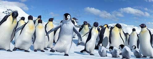 Happy Feet - O Pinguim : Fotos George Miller