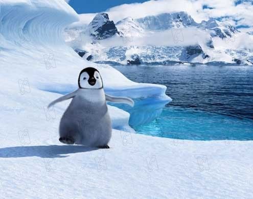 Happy Feet - O Pinguim : Fotos George Miller