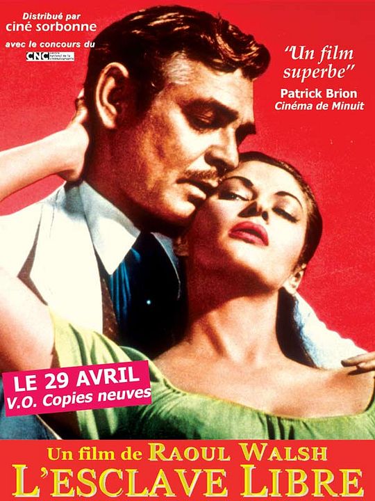 Poster Raoul Walsh
