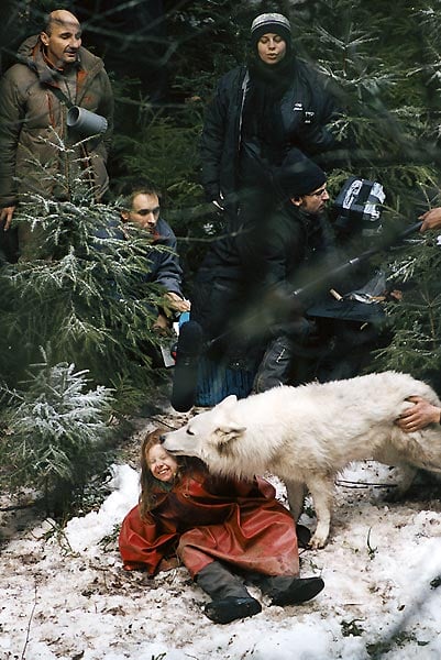 Sobrevivendo com Lobos : Fotos Véra Belmont