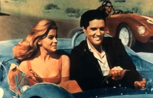 Amor a Toda Velocidade : Fotos Elvis Presley, George Sidney, Ann-Margret