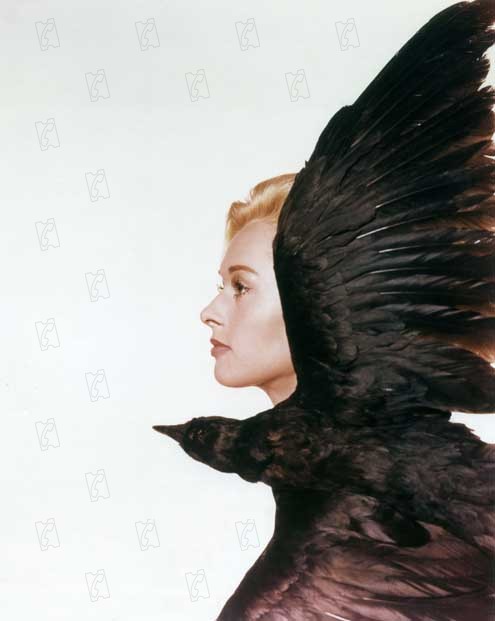 Os Pássaros : Fotos Alfred Hitchcock, Tippi Hedren