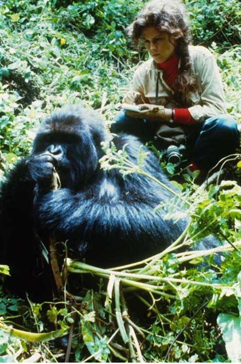 Nas Montanhas dos Gorilas : Fotos Sigourney Weaver, Michael Apted
