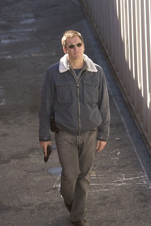 Fotos Michael Weatherly