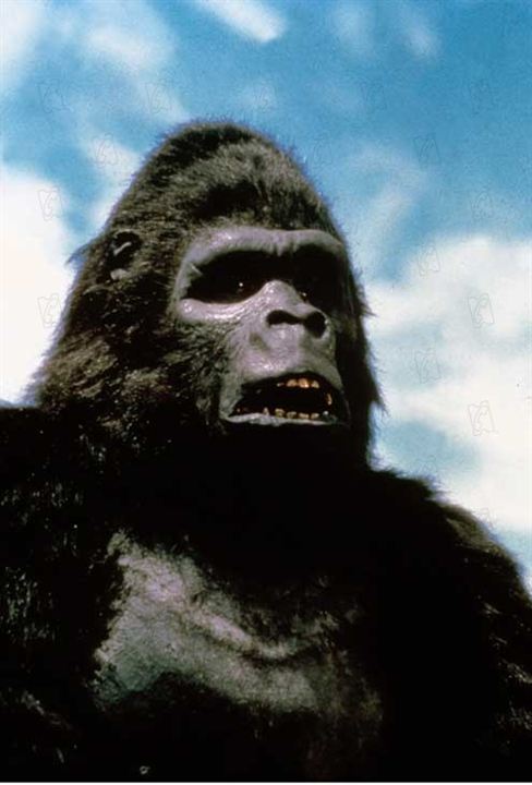 King Kong 2 : Fotos John Guillermin