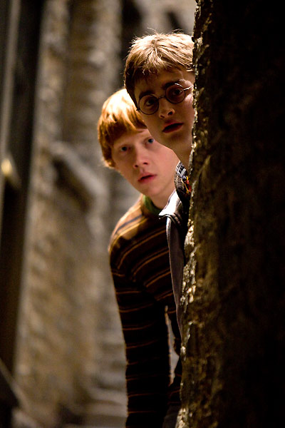 Harry Potter e o Enigma do Príncipe : Fotos Rupert Grint, Daniel Radcliffe