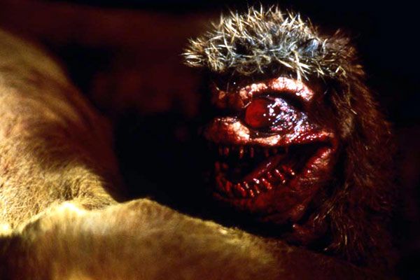 Fotos Mick Garris