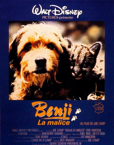 Benji - Um Cão Desafia a Selva : Poster Joe Camp