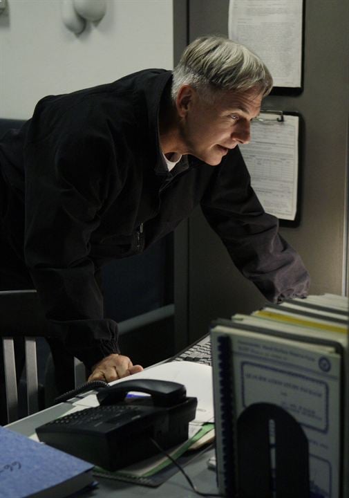 Fotos Mark Harmon