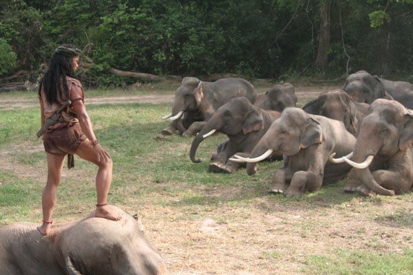 Ong Bak 2 - O Guerreiro Sagrado Voltou : Fotos