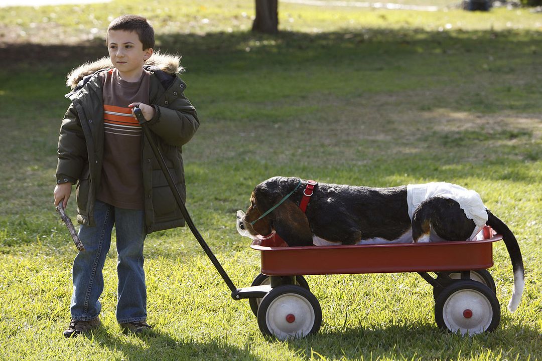 Fotos Atticus Shaffer