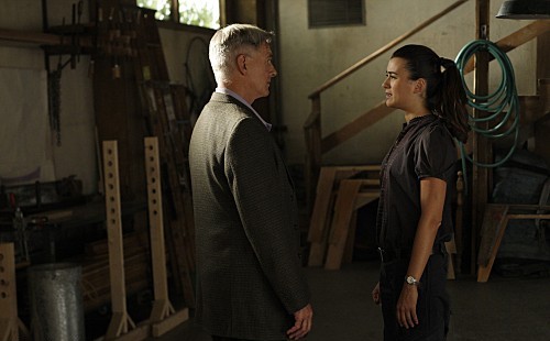 Fotos Cote De Pablo, Mark Harmon