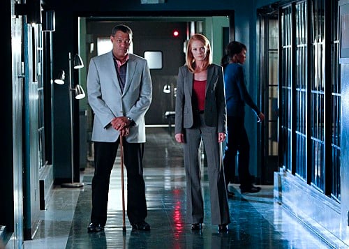 Fotos Laurence Fishburne, Marg Helgenberger