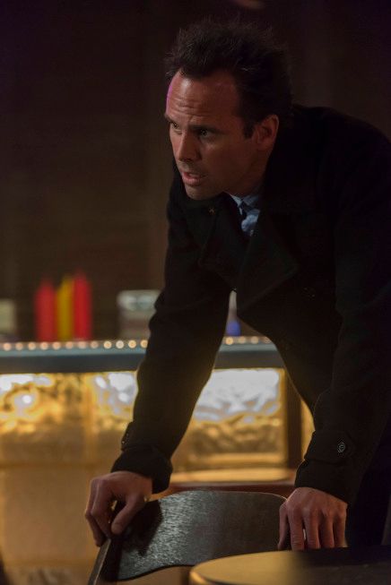 Justified : Fotos Walton Goggins