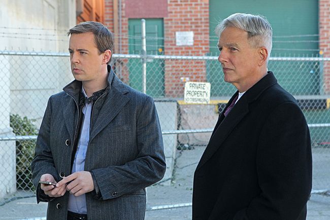 NCIS : Fotos Sean Murray, Mark Harmon