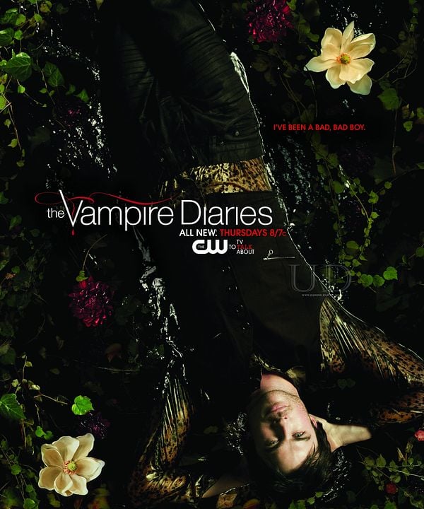 The Vampire Diaries 8ª temporada - AdoroCinema