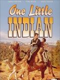 O Pequeno Índio : Poster