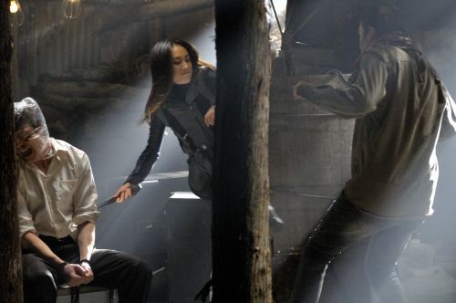 Nikita (2010) : Fotos Maggie Q