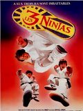 3 Ninjas em Apuros : Poster