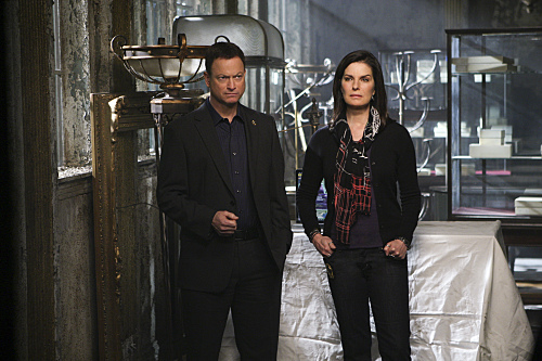 CSI: New York : Fotos Sela Ward, Gary Sinise