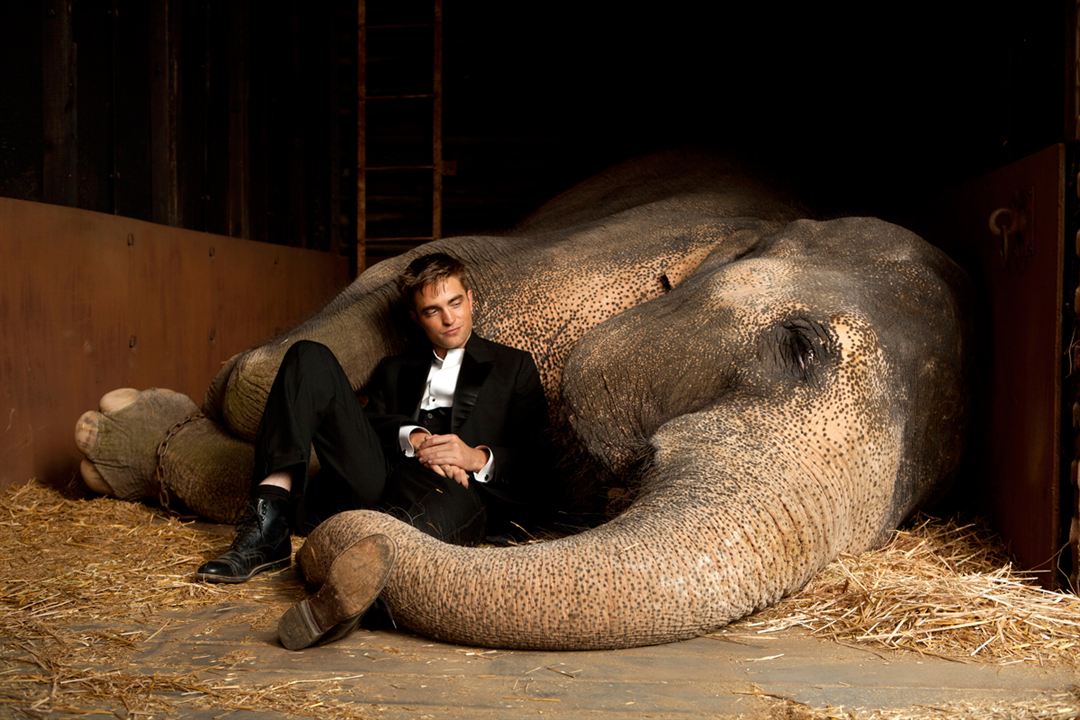 Água para Elefantes : Fotos Robert Pattinson