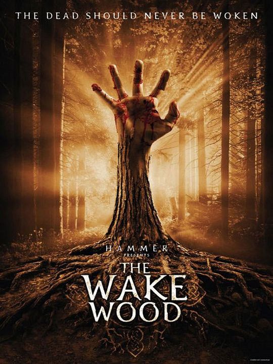 Despertar dos Mortos : Poster
