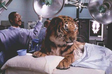 Dr. Dolittle : Fotos