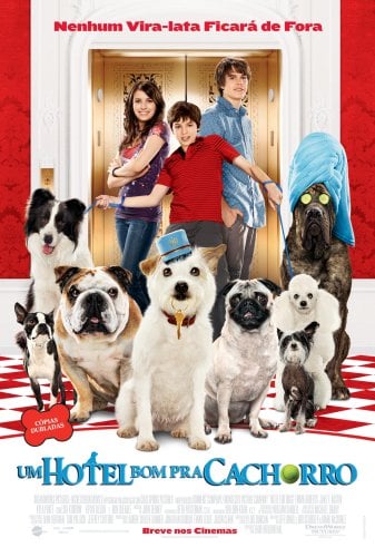 Um Hotel Bom pra Cachorro : Poster