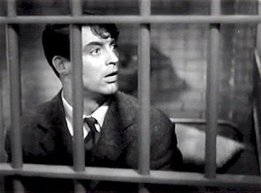 Levada da Breca : Fotos