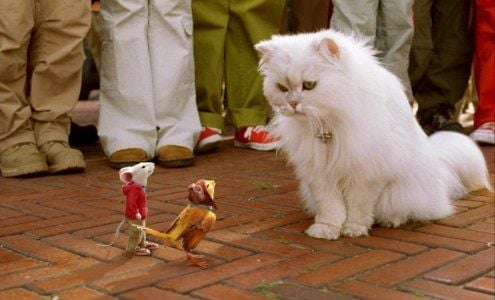 Stuart Little 2 : Fotos