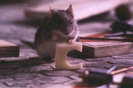 Um Ratinho Encrenqueiro : Fotos