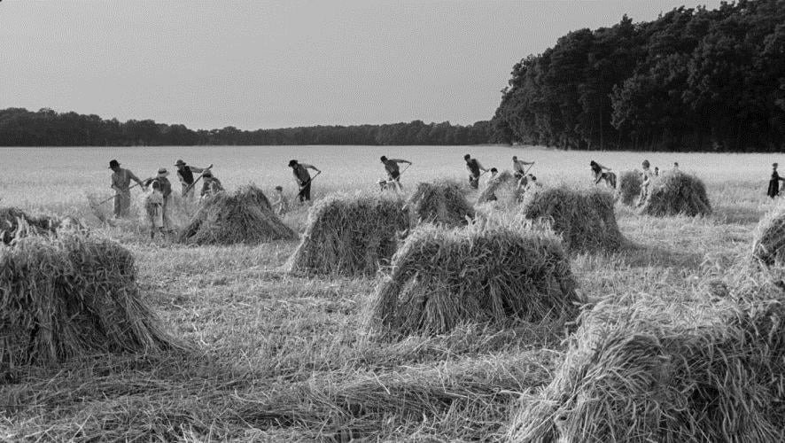 A Fita Branca : Fotos