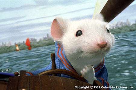 O Pequeno Stuart Little : Fotos