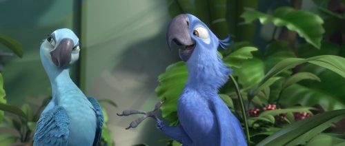 Rio : Fotos