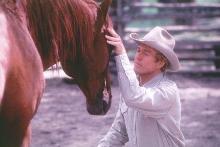 O Encantador de Cavalos : Fotos