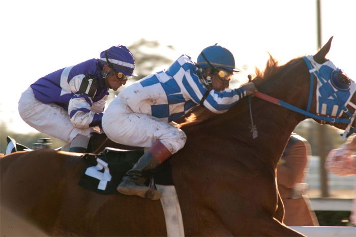Secretariat - Uma História Impossível : Fotos