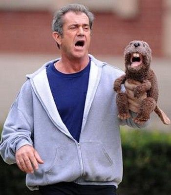 Um Novo Despertar : Fotos