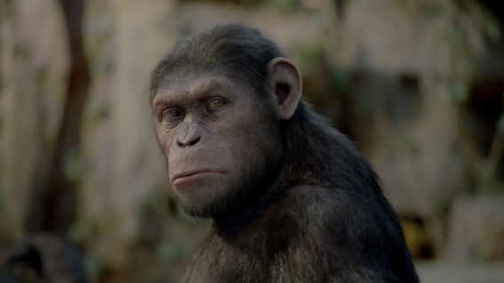 Planeta dos Macacos - A Origem : Fotos
