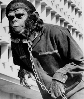 A Conquista do Planeta dos Macacos : Fotos