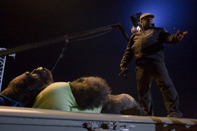 O Zelador Animal : Fotos